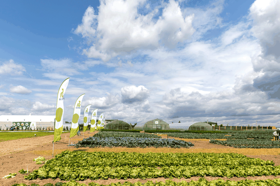 Team planning next steps for Agroecology and sustainable agriculture development: online learning, farm planning, and professional agricultural consulting support